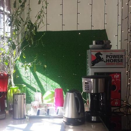 Art Studio Brasov Ngoại thất bức ảnh